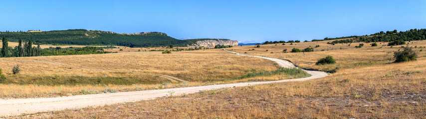 Fototapeta premium Road in the steppes