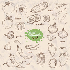 Set of isolated vegetables in a sketch style. Pepper, tomato, cucumber, peppers, onions, garlic, peas and beans