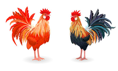 collection of detailed lovely Cockerels for your design