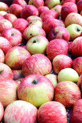 Many red apples floating in the water.