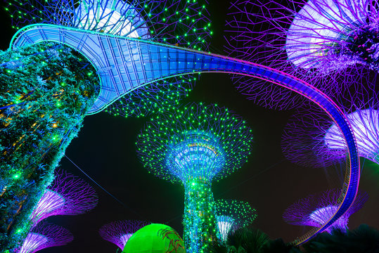 Garden Rhapsody Light Show at Super Tree Grove