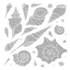 Hand drawn doodle vector seashells.