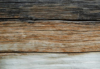 Obraz premium Old wooden fence. wood palisade background. 