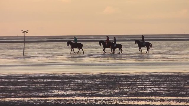 Wattreiter im Galopp vor Sahlenburg