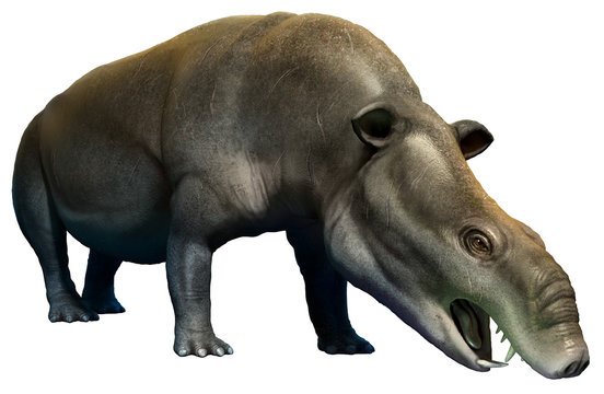 Moeritherium from the Eocene epoch 3D illustration