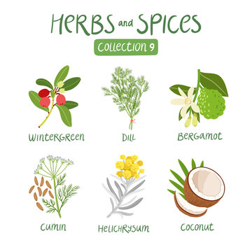 Herbs and spices collection 9