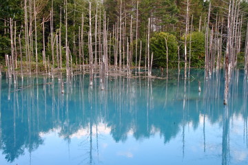 青い池07