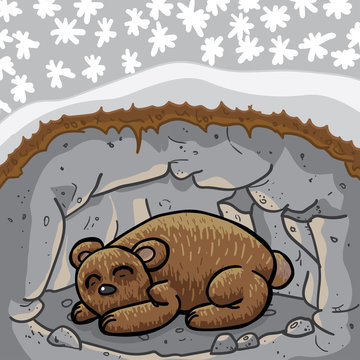 Cute Sleeping Bear In Lair / Cave. The Season Outside Is Winter. High Quality Vector Illustration.