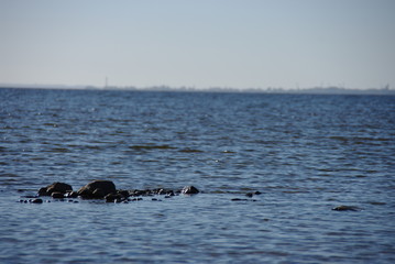 Fototapeta premium Stones