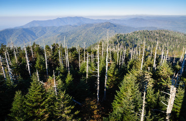 Great Smoky Mountains National Park