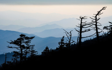 Great Smoky Mountains National Park