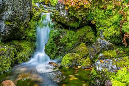 Small waterfall in autumnal forest