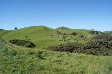 nouvelle z&eacute;lande