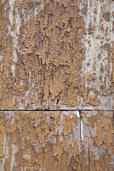 Fototapeta premium Metal background with rivets
