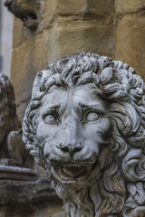 Obraz premium Medici lions from Florence, Italy