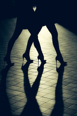 Female legs in shoes