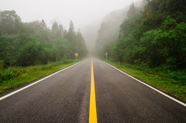 A foggy road leads to the mountain