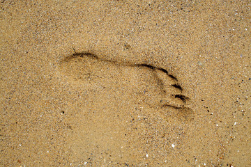 Footprint in the sand.