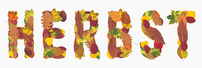 Herbstlaub Schriftzug Studioaufnahme