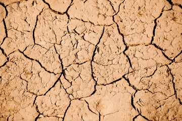 Dry soil with cracked surface