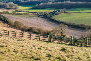 British countryside, Pewley Down, Guildford, UK