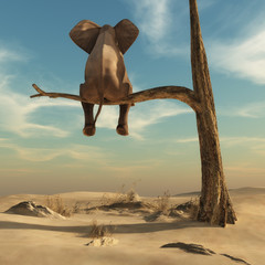Elephant stands on thin branch of withered tree - obrazy, fototapety, plakaty