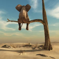 Der Elefant steht auf einem dünnen Ast eines verwelkten Baums © Orlando Florin Rosu