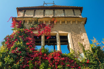     Old abandoned castle in Vinica arboretum near Varazdin, Croatia 