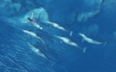 Obraz na płótnie Canvas Women swims with dolphins