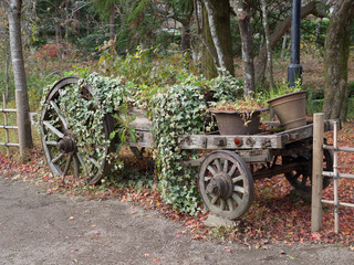 Old wagon
