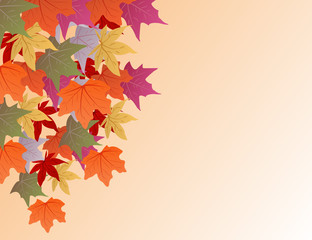 background with autumn leaves