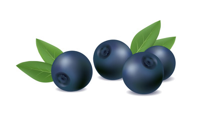 blueberries on a white background