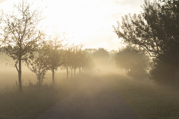 Fototapeta na wymiar Wanderer im Morgennebel über dem Feld