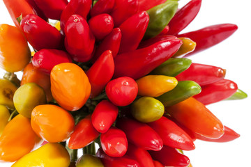 Composition of colorful decoration peppers on white background