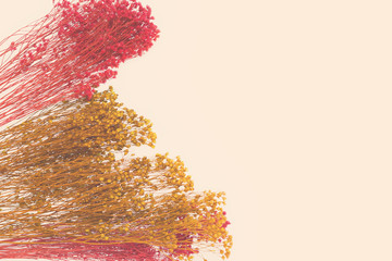decorative small flowers with hand-painted. space for the designer, place for text
