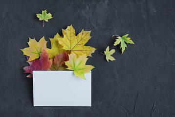 Colorful autumn leaves and white blank card