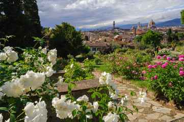 Florence from Giardino delle Rose, Tuscany, Italy