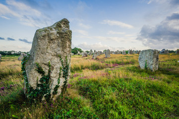 Standing stones formations in Carnac, France