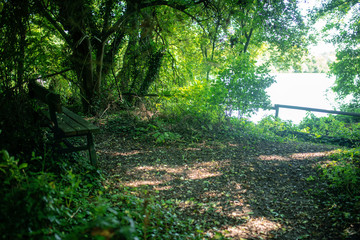 un banc au bord du lac
