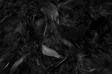 black feathers close up of black textured surface