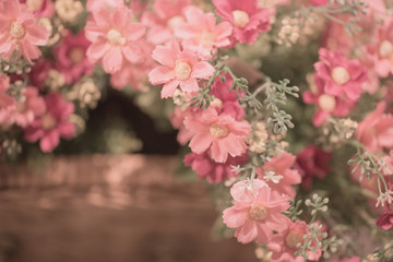 flower for background,Love concept.