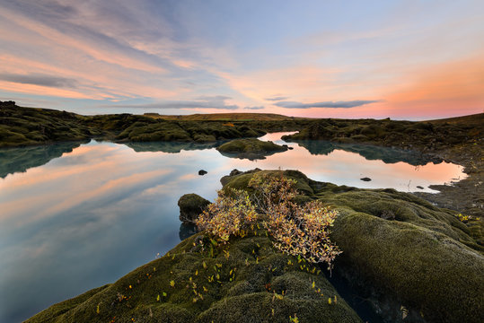 Paisagem lunar islandesa com tufos de musgo ao Por do Sol