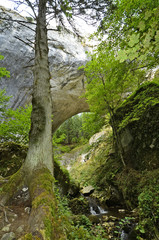 Fototapeta na wymiar Bulgaria, natural bridges