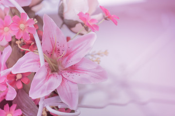 Pink flower for background,Love concept.