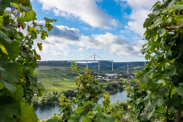 B 50 neu Hochmoselbrücke im Bau