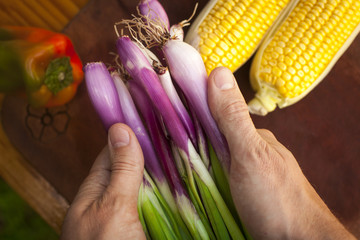 Hands holding fresh spring onions over wooden table