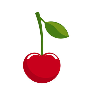 Cherry fruit vector