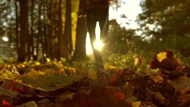 Blurred female running on fallen autumn leaves in sunny forest. Blazing sun. Super slow motion background bokeh shot