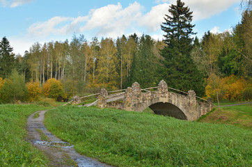 Fototapeta na wymiar Landscape with a bridge in the woods.