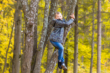 Obraz na płótnie Canvas Smiling boy climbed in a tree in park